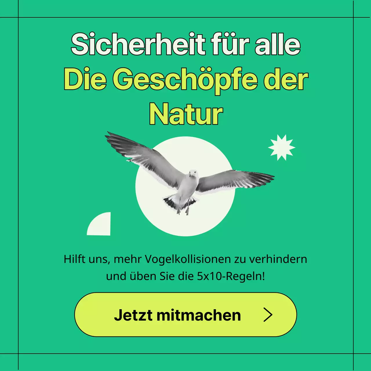 Informationen zur Vermeidung von Kollisionen mit grünen und geometrischen Wildvogelfenstern (Card News)