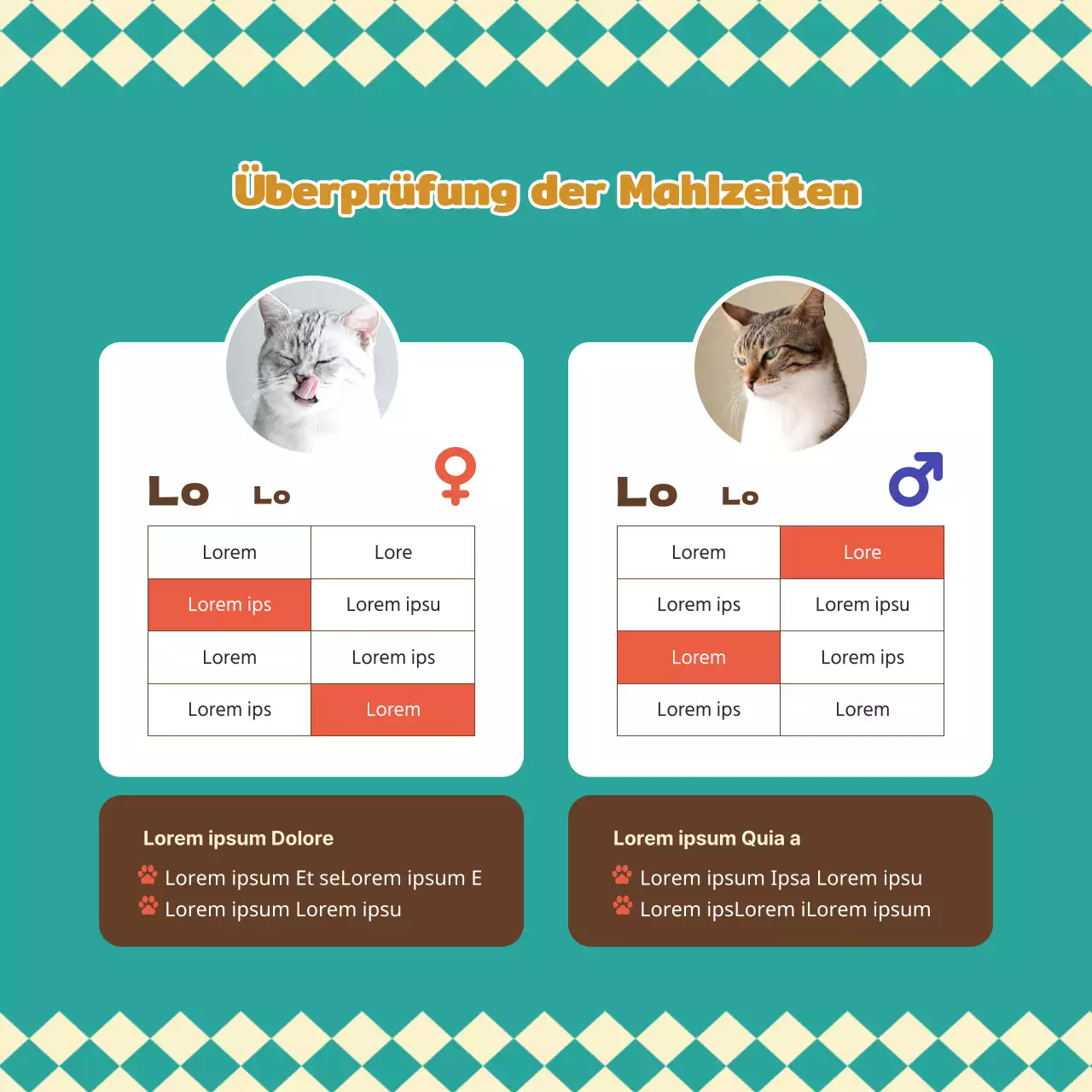 Über dieses warme und kuschelige Haustier Katze Hundefutter in türkis und braun