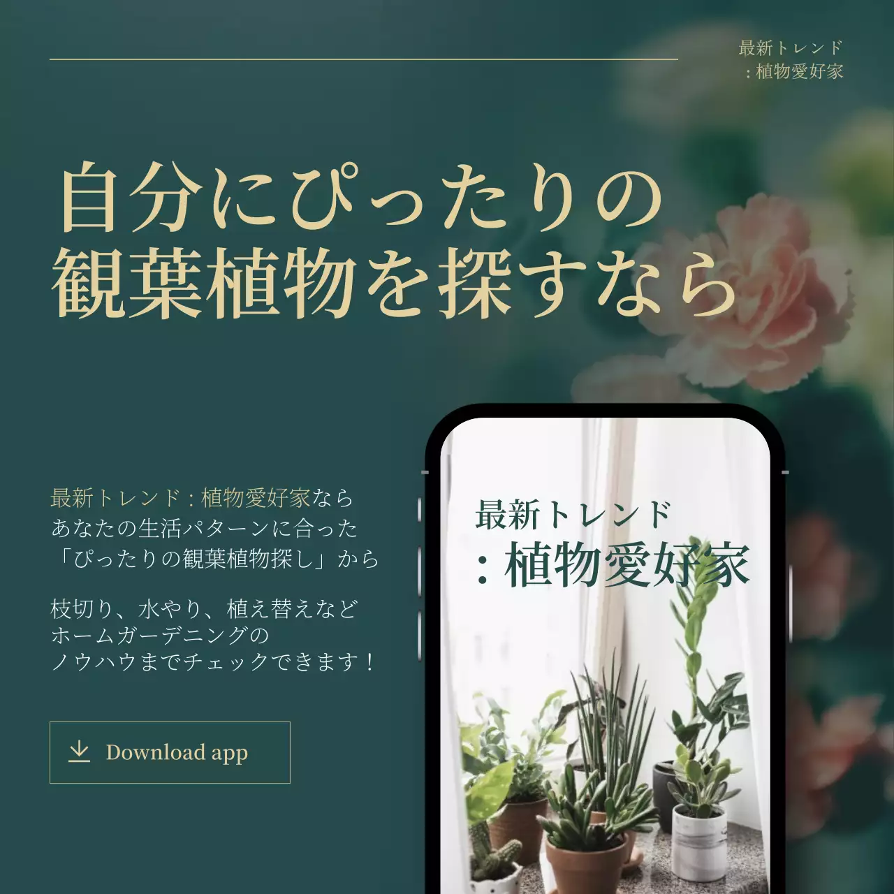 グリーンとゴールドのトレンド観葉植物のおすすめ説明