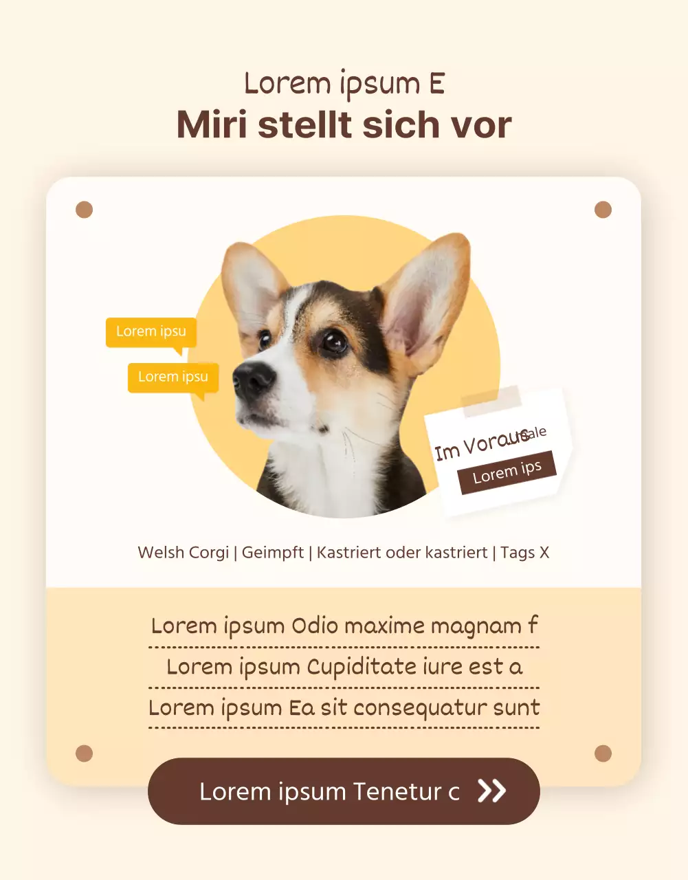 Illustrierte Adoptionspost Detailseite mit gelb-braunen Tönen