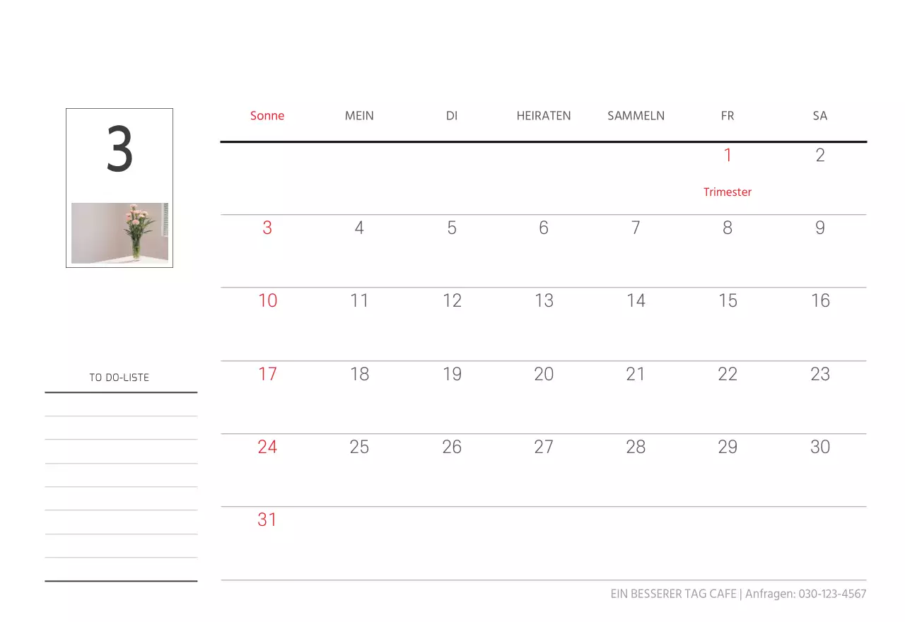 Weiße saubere botanische Natur