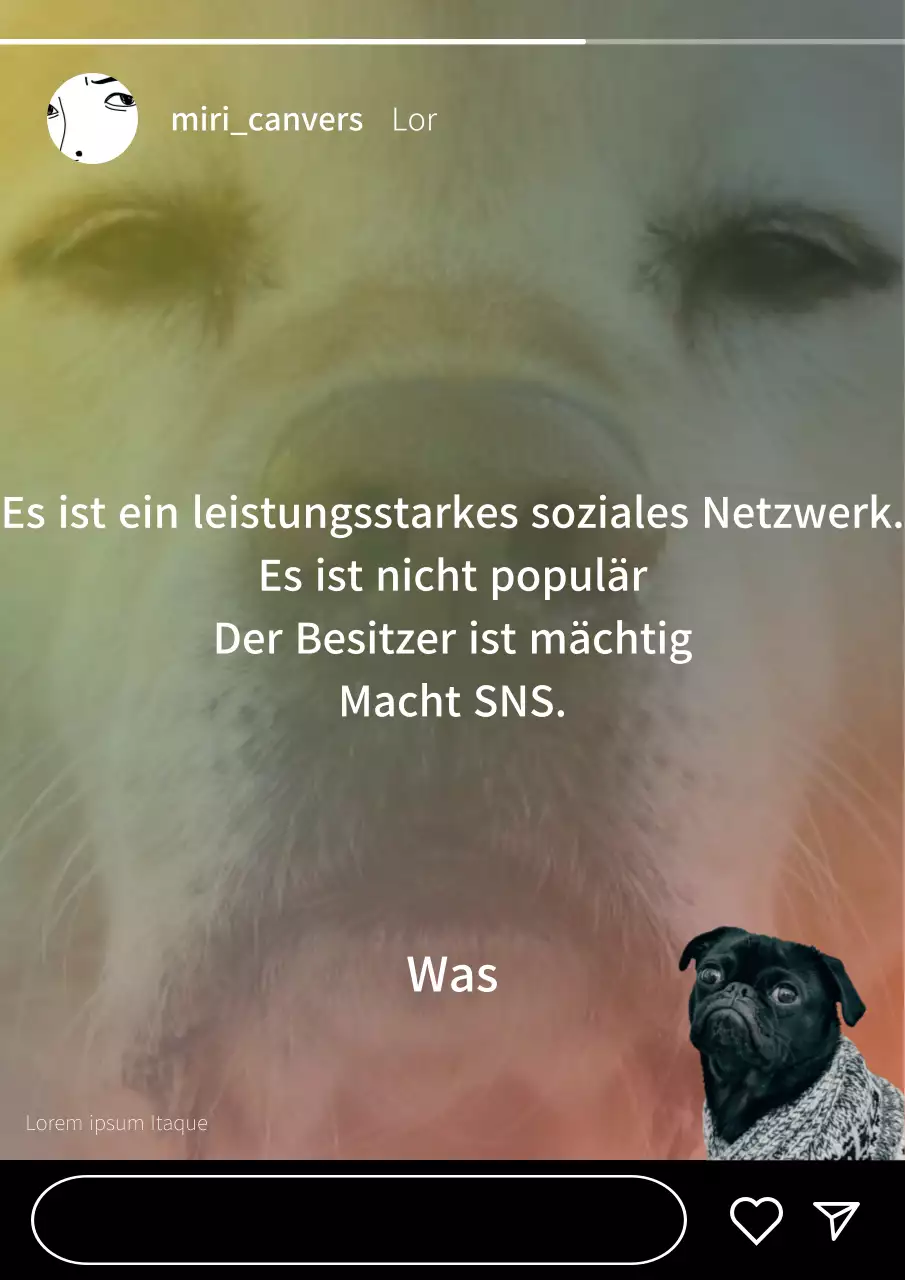 Ein regenbogenfarbener Hintergrund und ein Welpe sorgen für einen lustigen, herzerwärmenden Instagram-Post