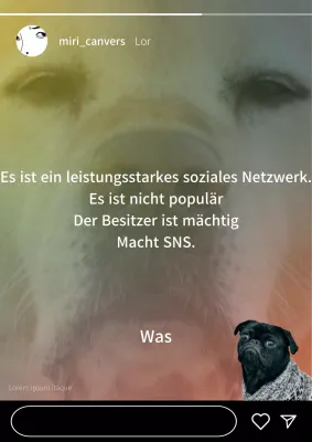 Ein regenbogenfarbener Hintergrund und ein Welpe sorgen für einen lustigen, herzerwärmenden Instagram-Post