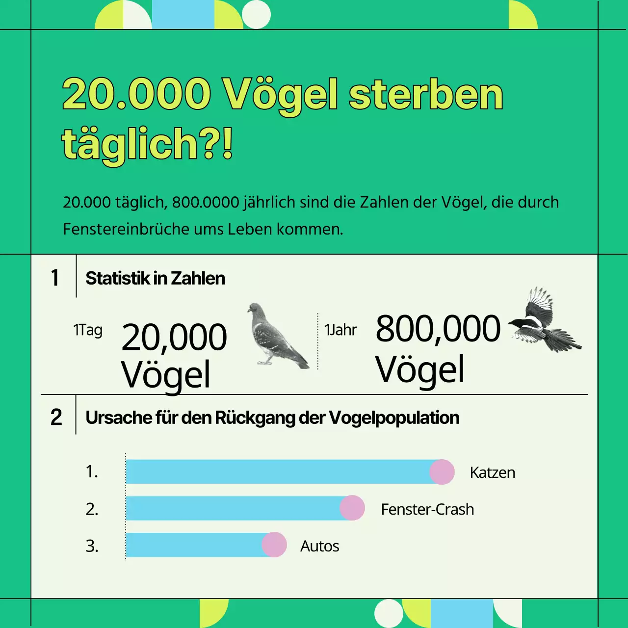 Informationen zur Vermeidung von Kollisionen mit grünen und geometrischen Wildvogelfenstern (Card News)