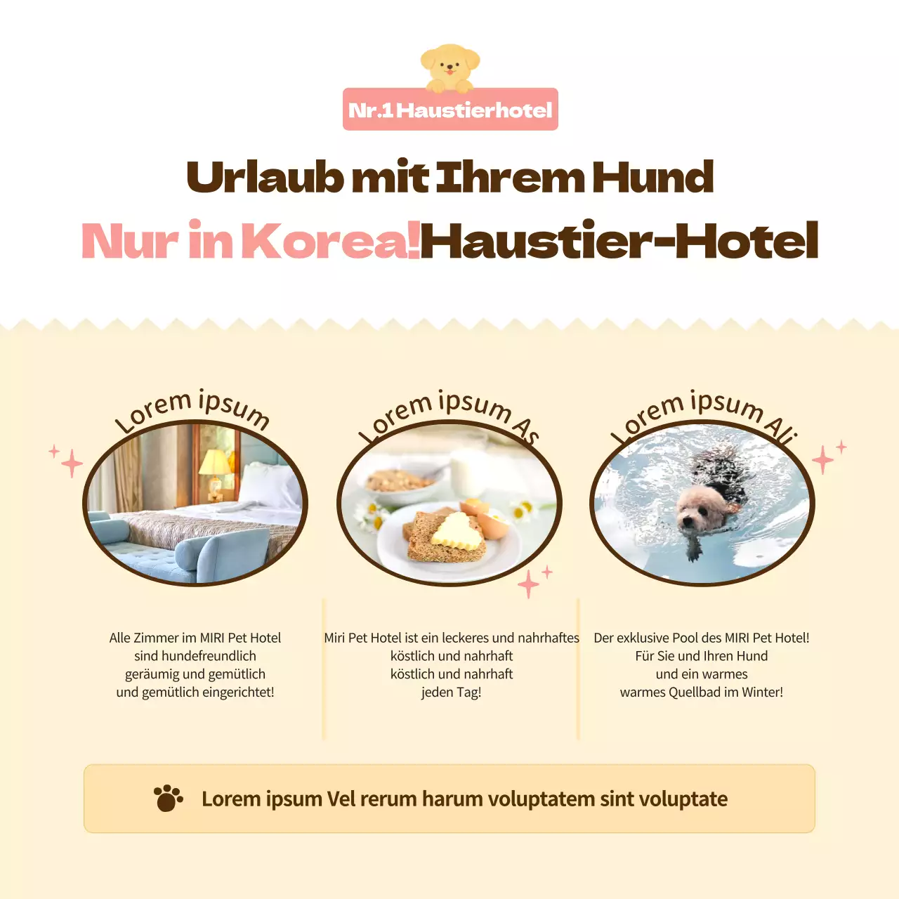 Werbung für ein rosa, warmes und kuscheliges Hundehotel (CardNews)