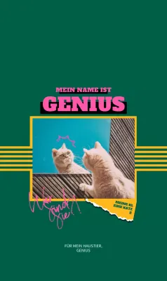 Katzenfotos und -sprüche mit lustigen Konzepten in leuchtenden, lebendigen Farben