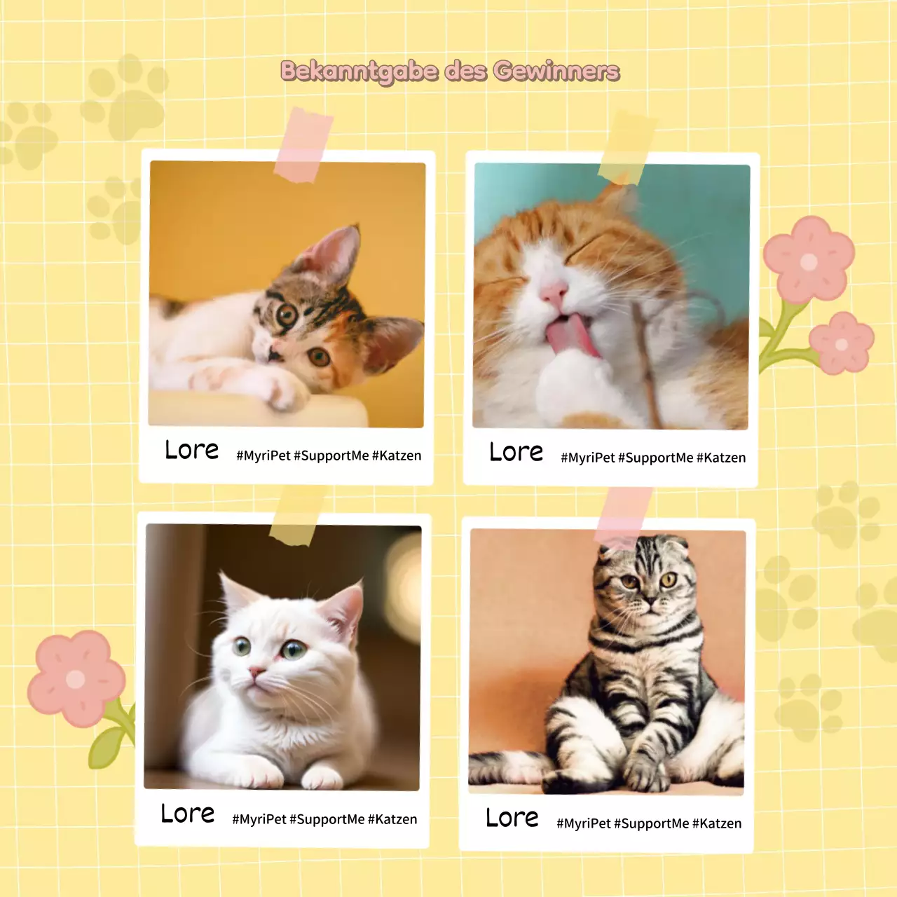 Werben Sie für Ihre Veranstaltung, um Unterstützer für Yellow the Cat zu gewinnen