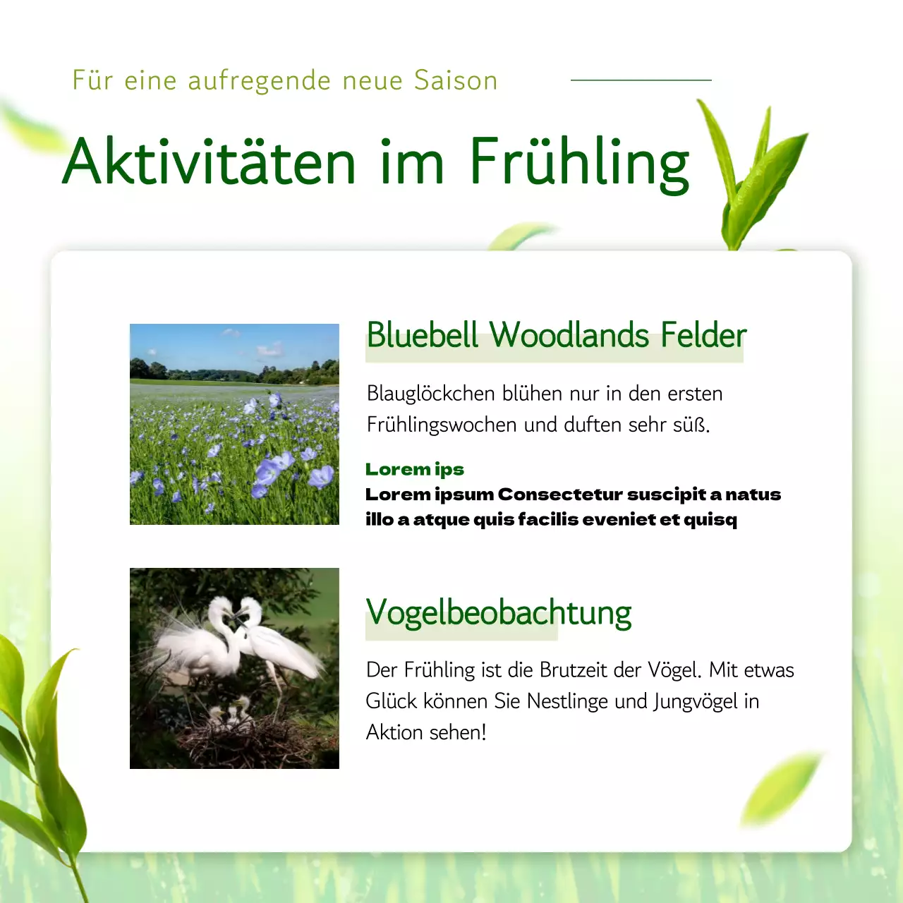 Ein frisches, grünes, blattreiches Konzept für das chinesische Neujahrsfest.