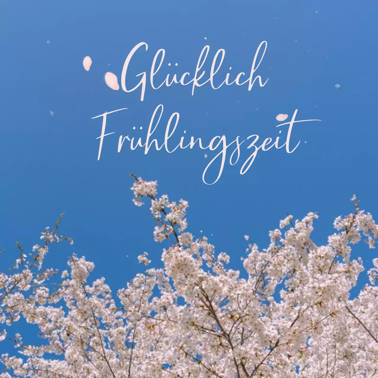 Von Kirschblüten inspirierte Inneneinrichtung eines Cafés