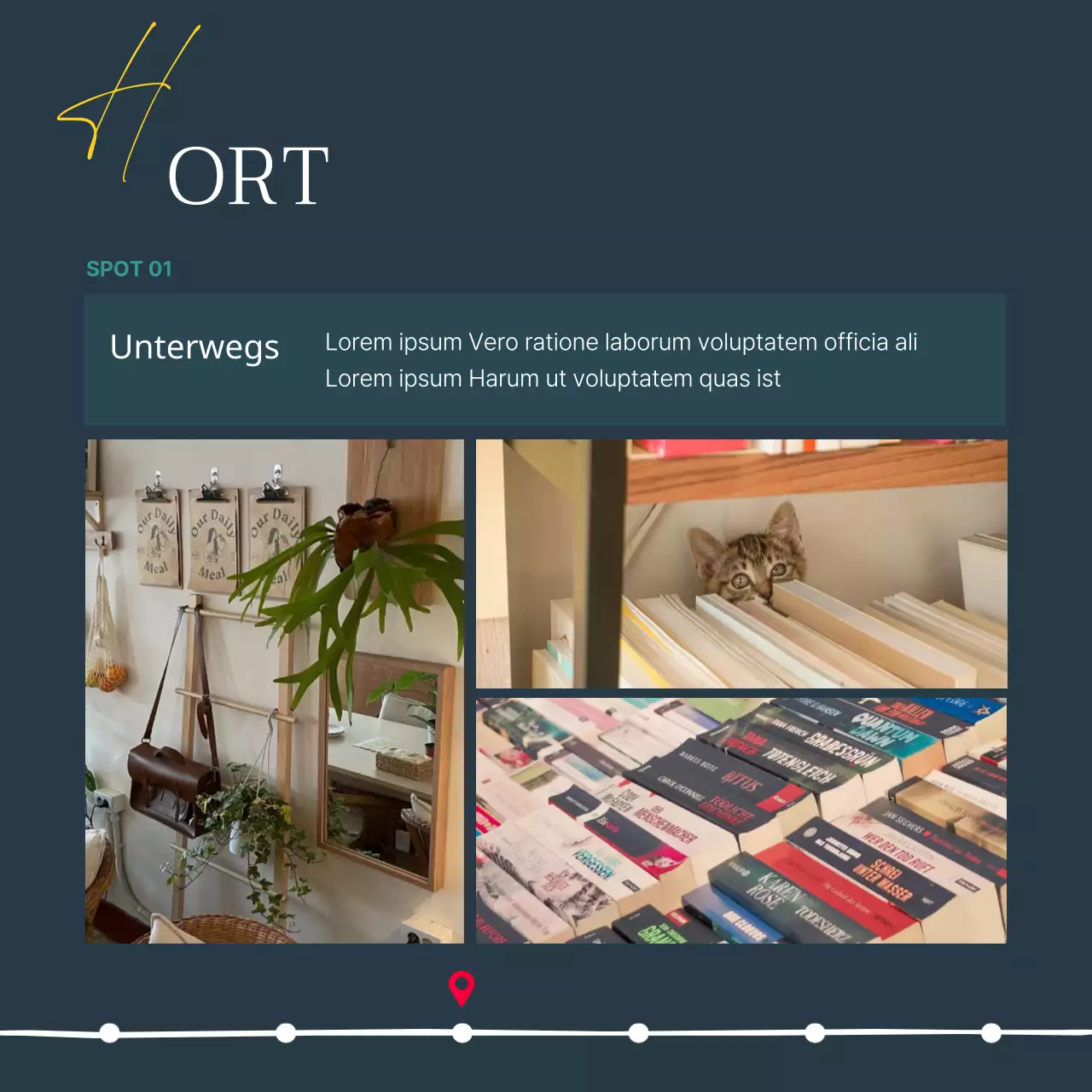 Ein Leitfaden für eine moderne Buchhandlung in Marineblau