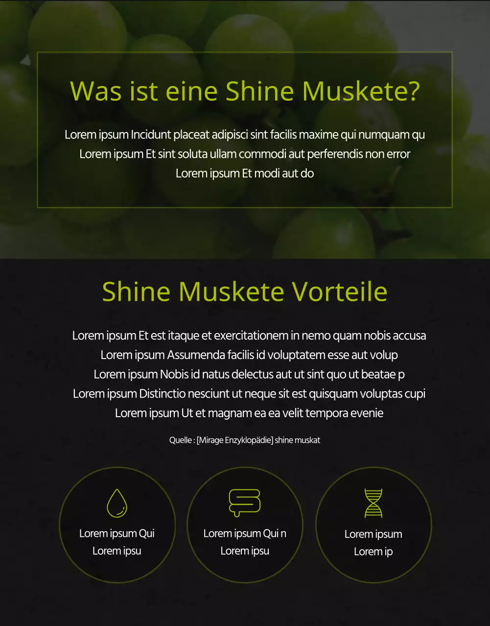 Premium-Muskat mit hohem Zuckergehalt in Schwarz und Grün für die Verkaufsförderung lokaler Landwirte Kleinunternehmen lokale Lebensmittel