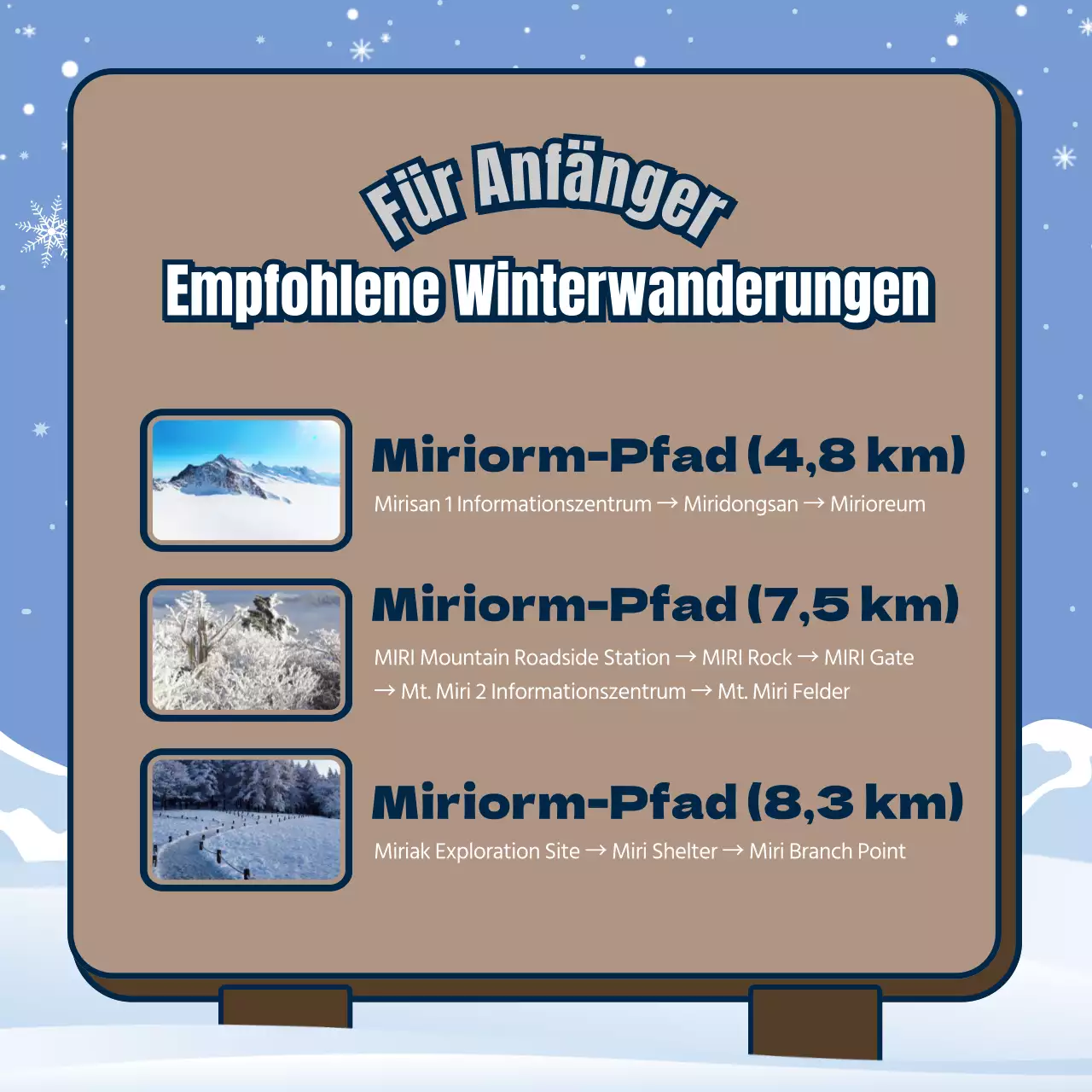 Sicherheit in den Bergen im Winter mit kastanienbraunen und hellblauen Schildern