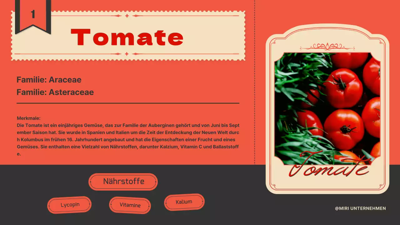 Einführung von Tomaten mit einem Vintage-Etikettenkonzept in Orange und Marineblau