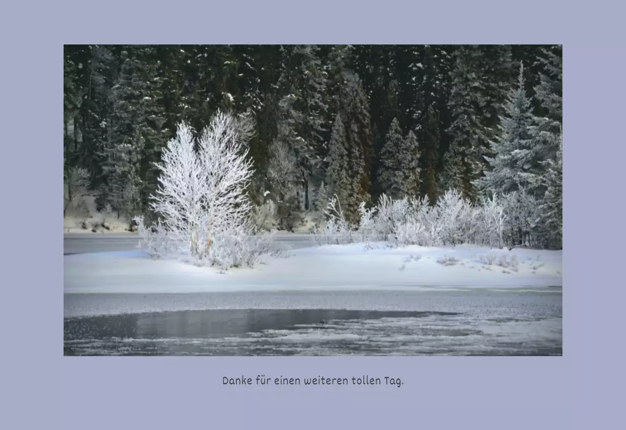 Weiße saubere botanische Natur