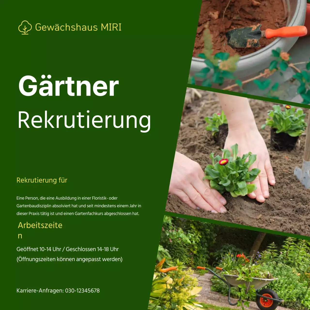 Einfaches Konzept Rekrutierungsanzeige mit grünem Hintergrund und Fotorahmen V2