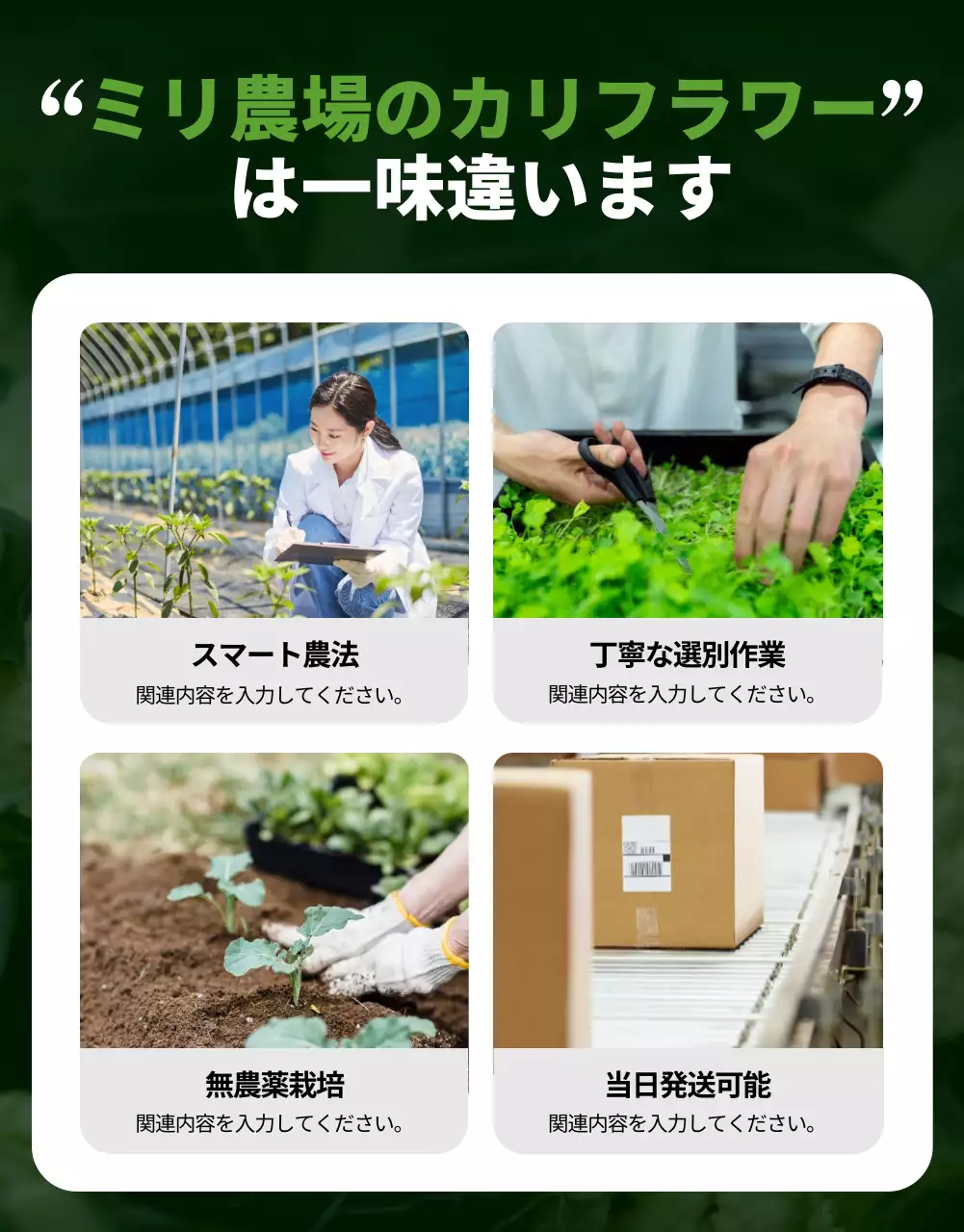 緑 オシャレ 野菜 広告 詳細ページ