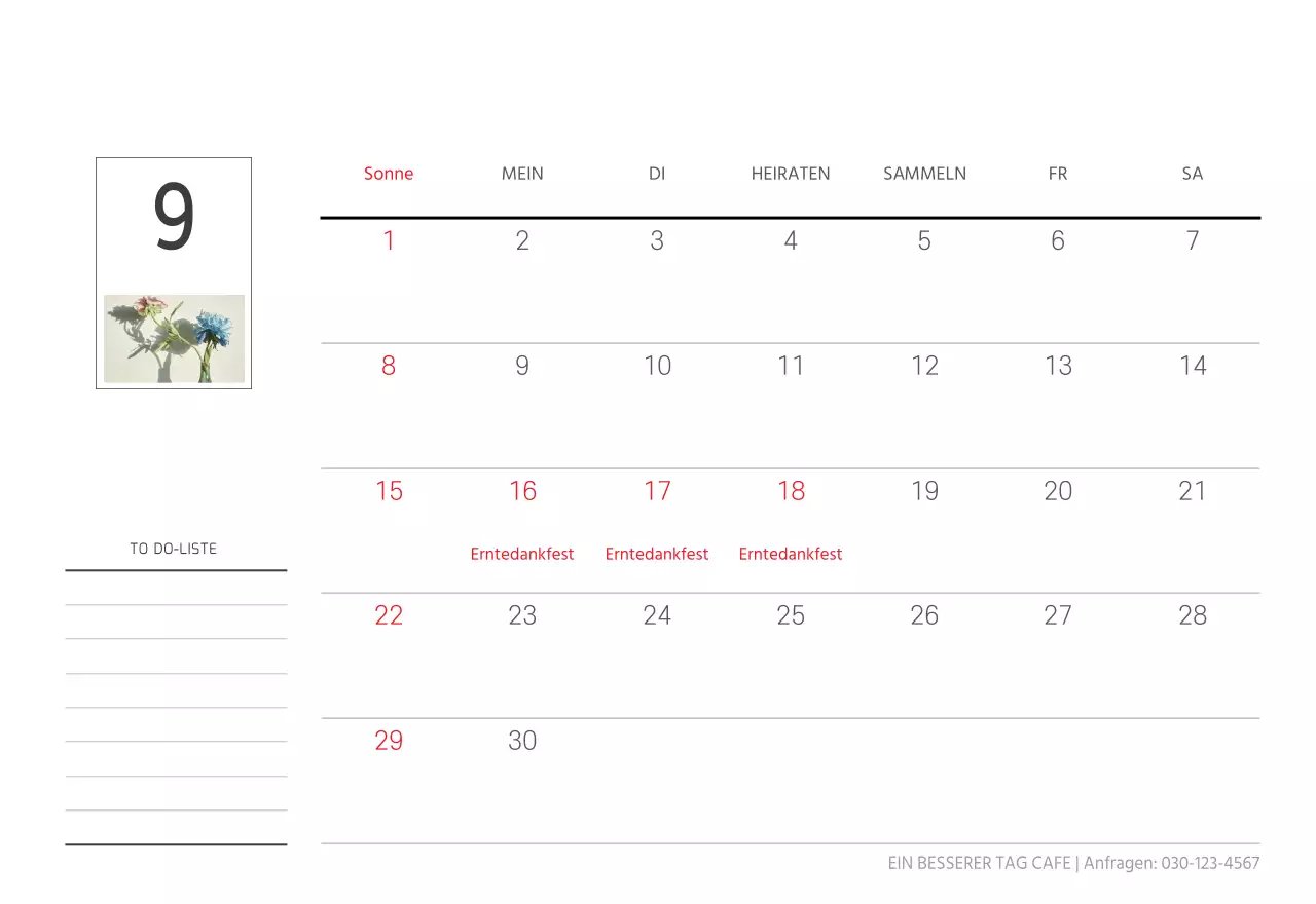 Weiße saubere botanische Natur