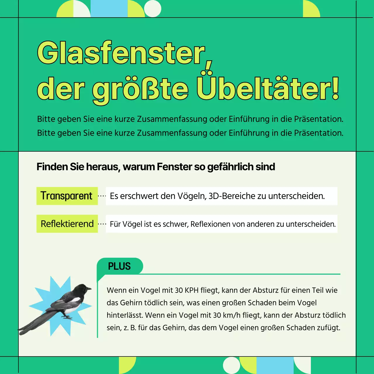 Informationen zur Vermeidung von Kollisionen mit grünen und geometrischen Wildvogelfenstern (Card News)