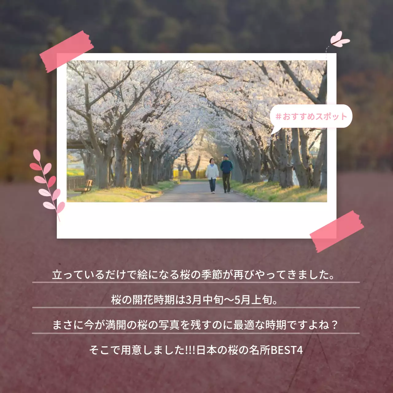 ピンク かわいい 桜 チラシ Instagram カルーセル