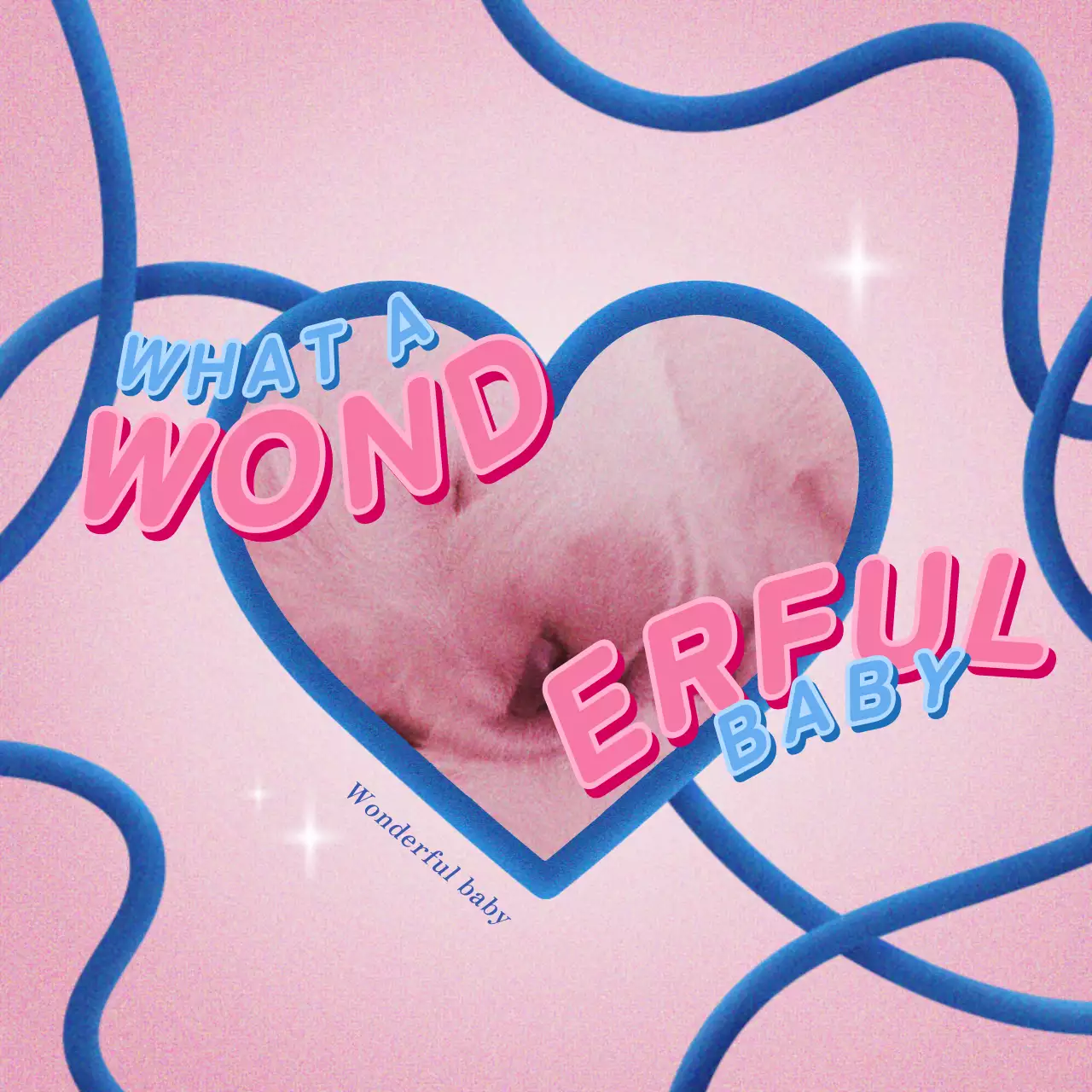 カラフル かわいい ペット ポスター SNS投稿 正方形