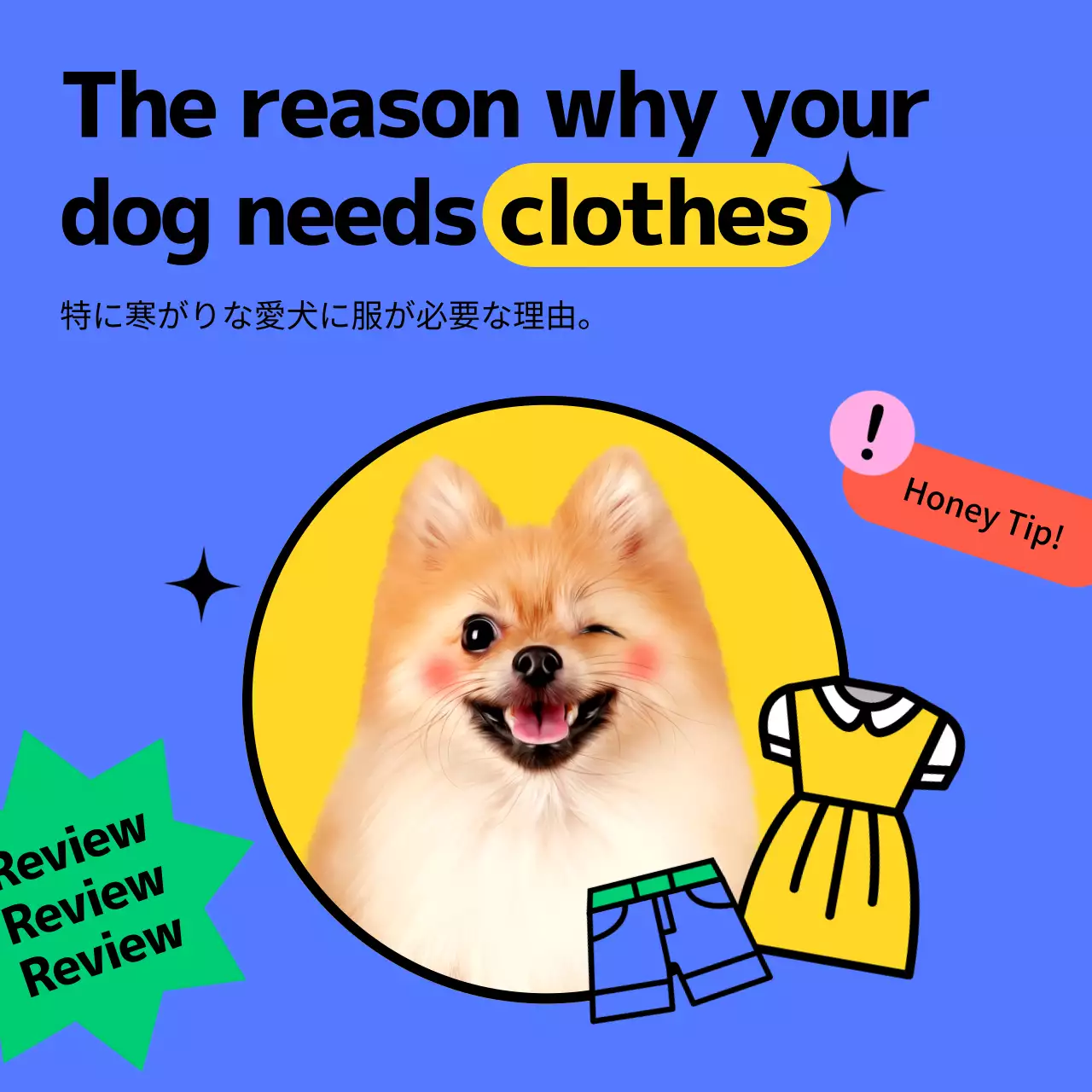 カラフル ポップ ペット ポスター Instagram カルーセル