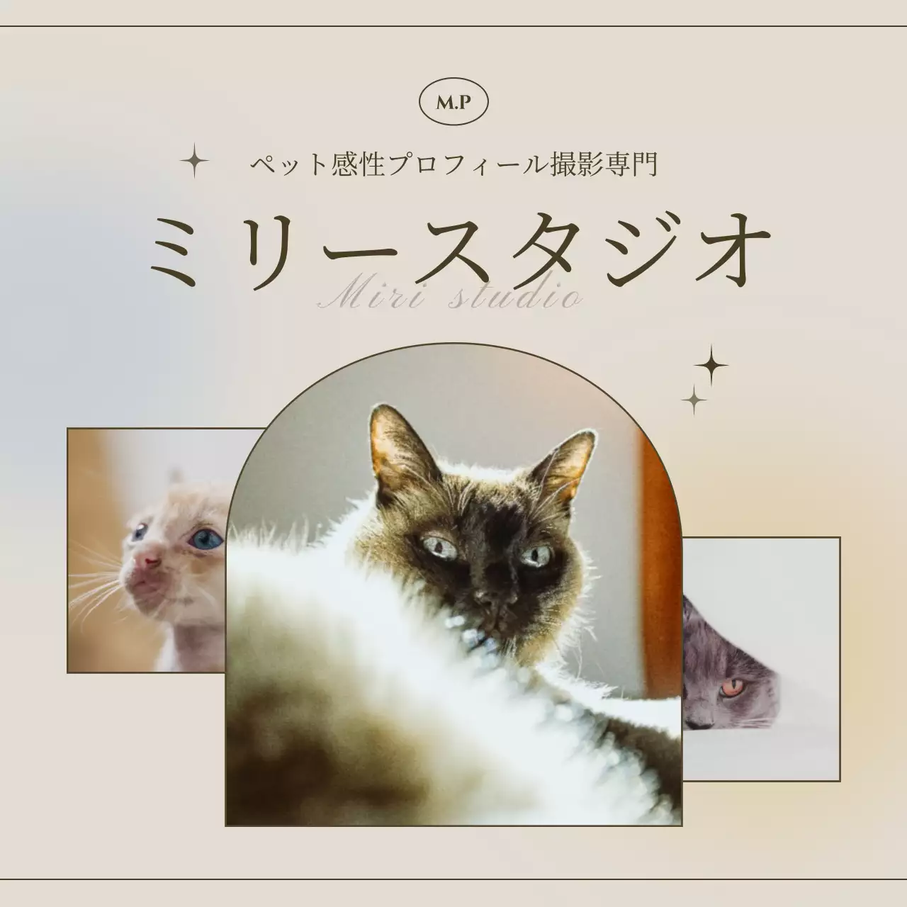 茶色の感性的なコンセプトの写真館のプロモーション広報