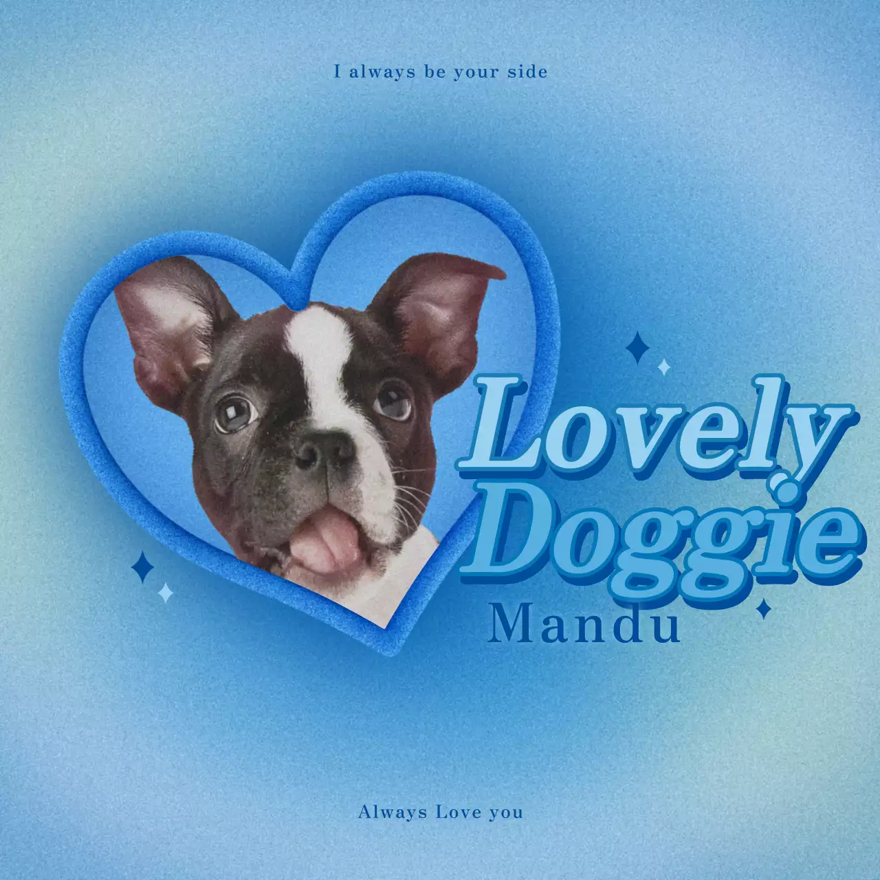 カラフル かわいい ペット ポスター SNS投稿 正方形