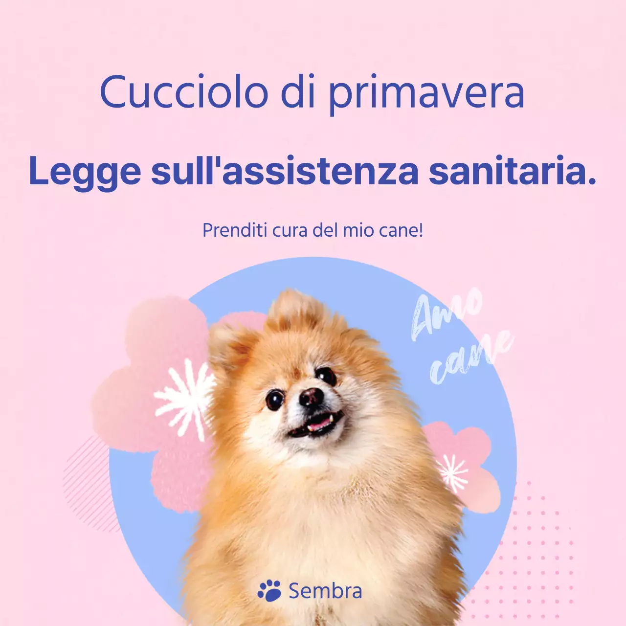 Guida alla cura del vostro cucciolo rosa e azzurro