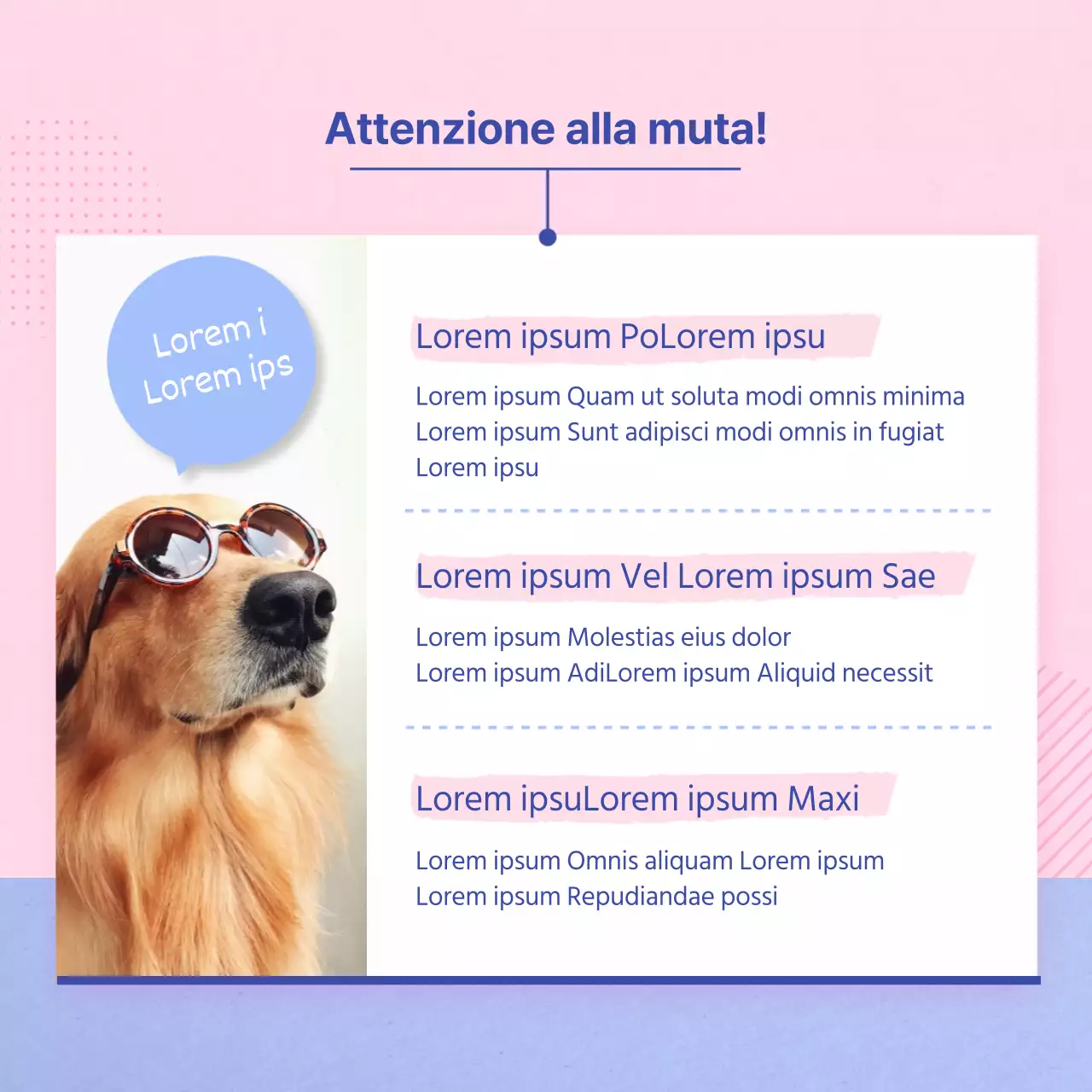 Guida alla cura del vostro cucciolo rosa e azzurro