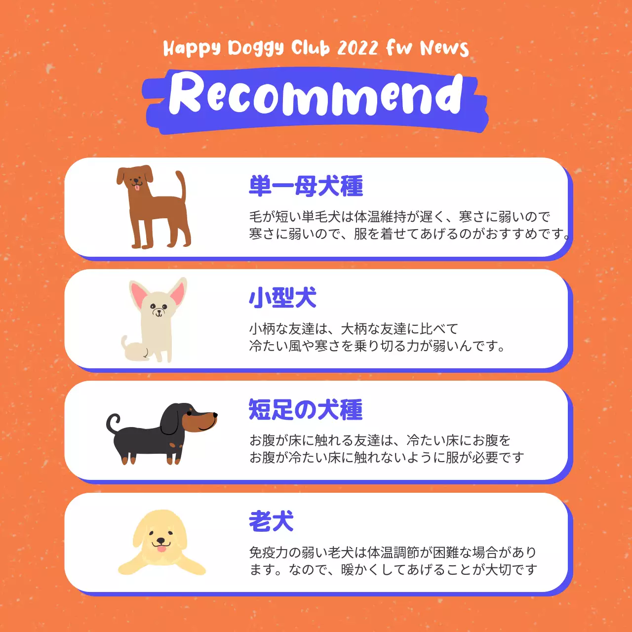 オレンジ かわいい ペット チラシ Instagram カルーセル