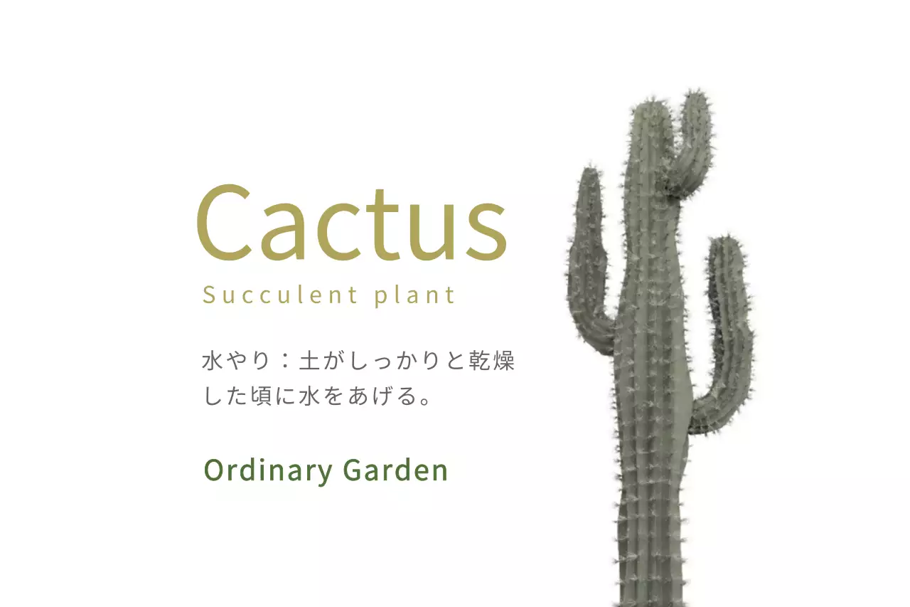 白 シンプル 植物 メモ ファンシーバナー