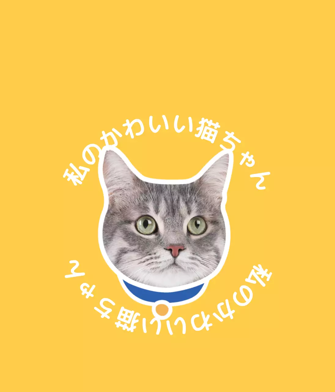 黄色い猫の写真 ペット