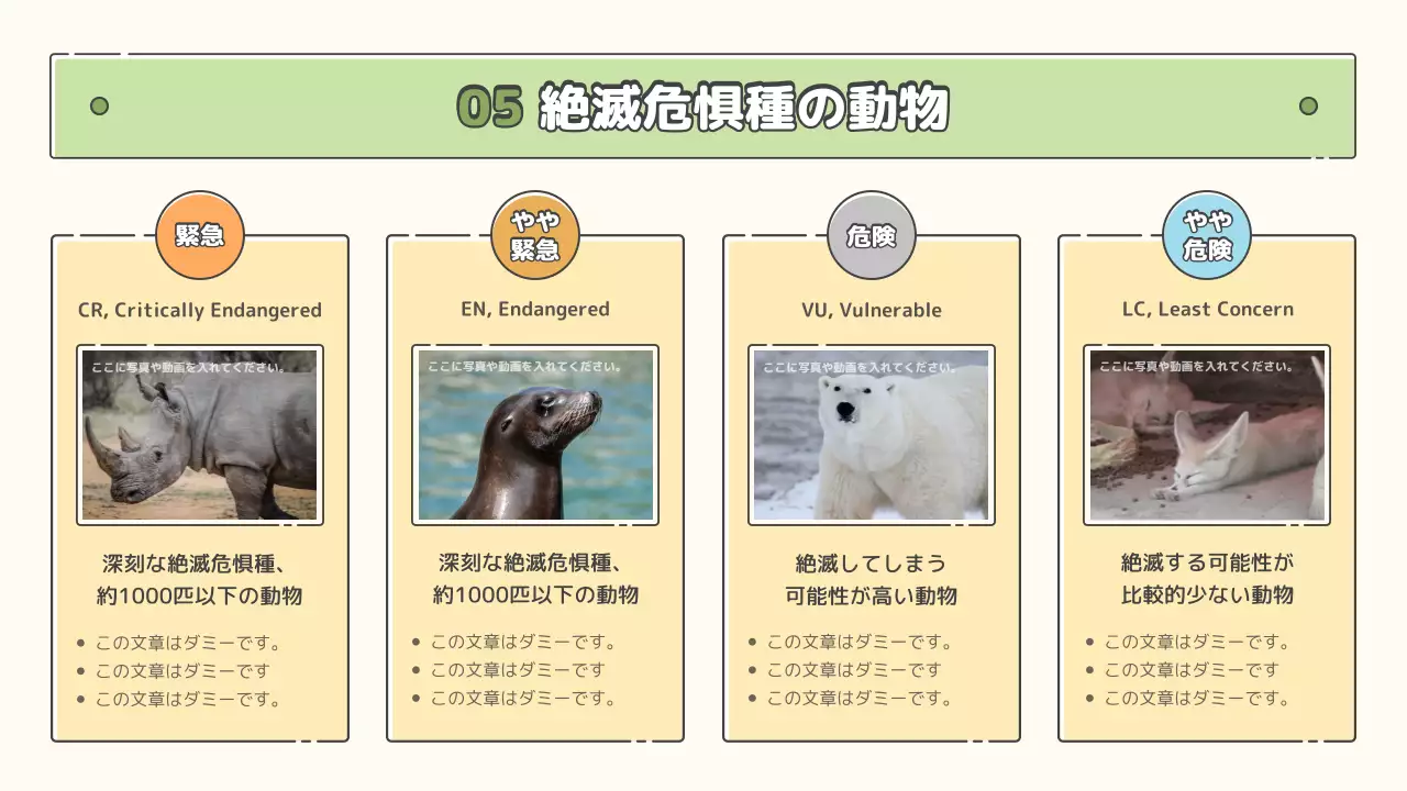 ベージュ かわいい 動物 パンフレット プレゼンテーション