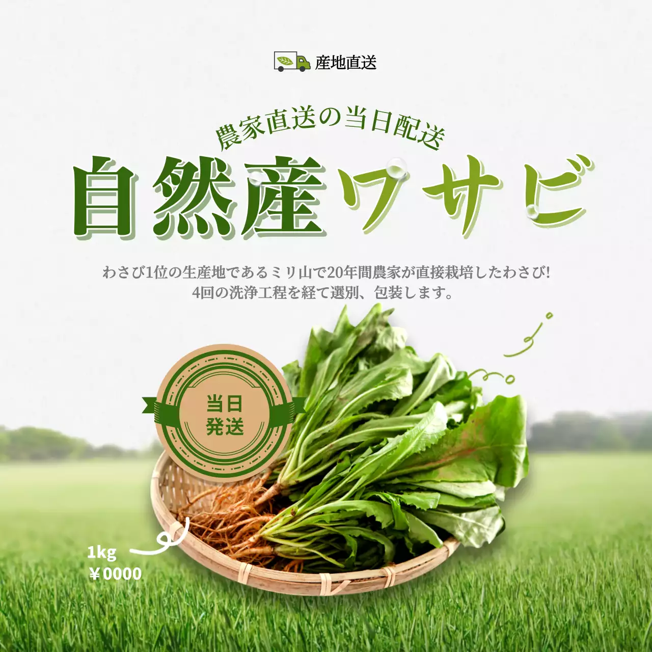 緑 シンプル わさび プロモーション SNS投稿 正方形