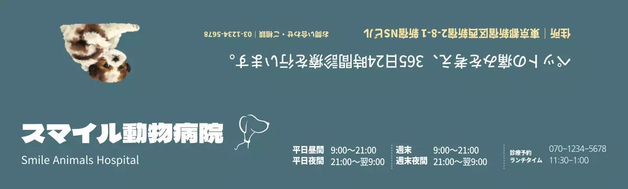 ターコイズの動物病院診療時間割コンセプト