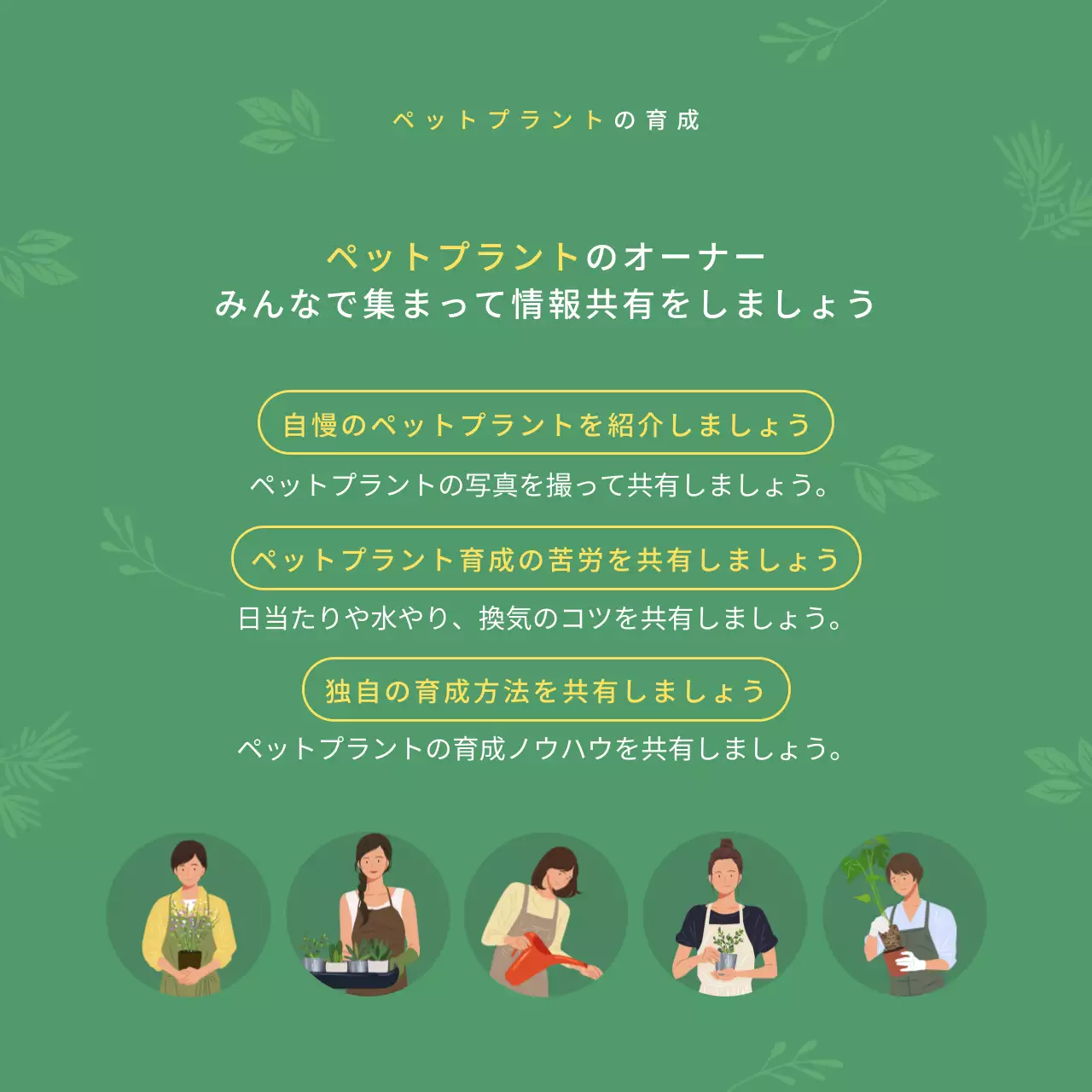 緑 シンプル ガーデニング ドキュメント Instagram カルーセル