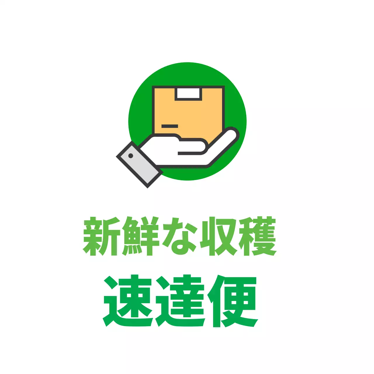 農産物の新鮮な収穫