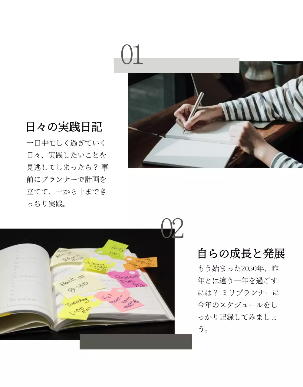 白黒 シンプル プラン パンフレット 詳細ページ