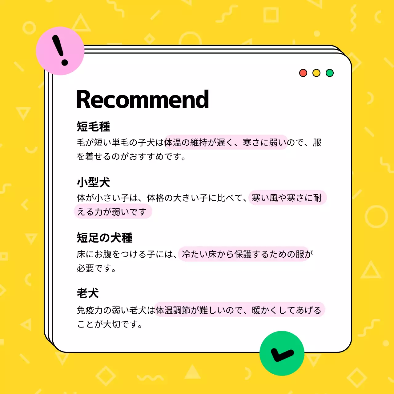 カラフル ポップ ペット ポスター Instagram カルーセル