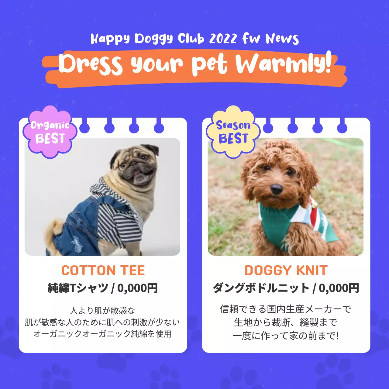 オレンジ かわいい ペット チラシ Instagram カルーセル