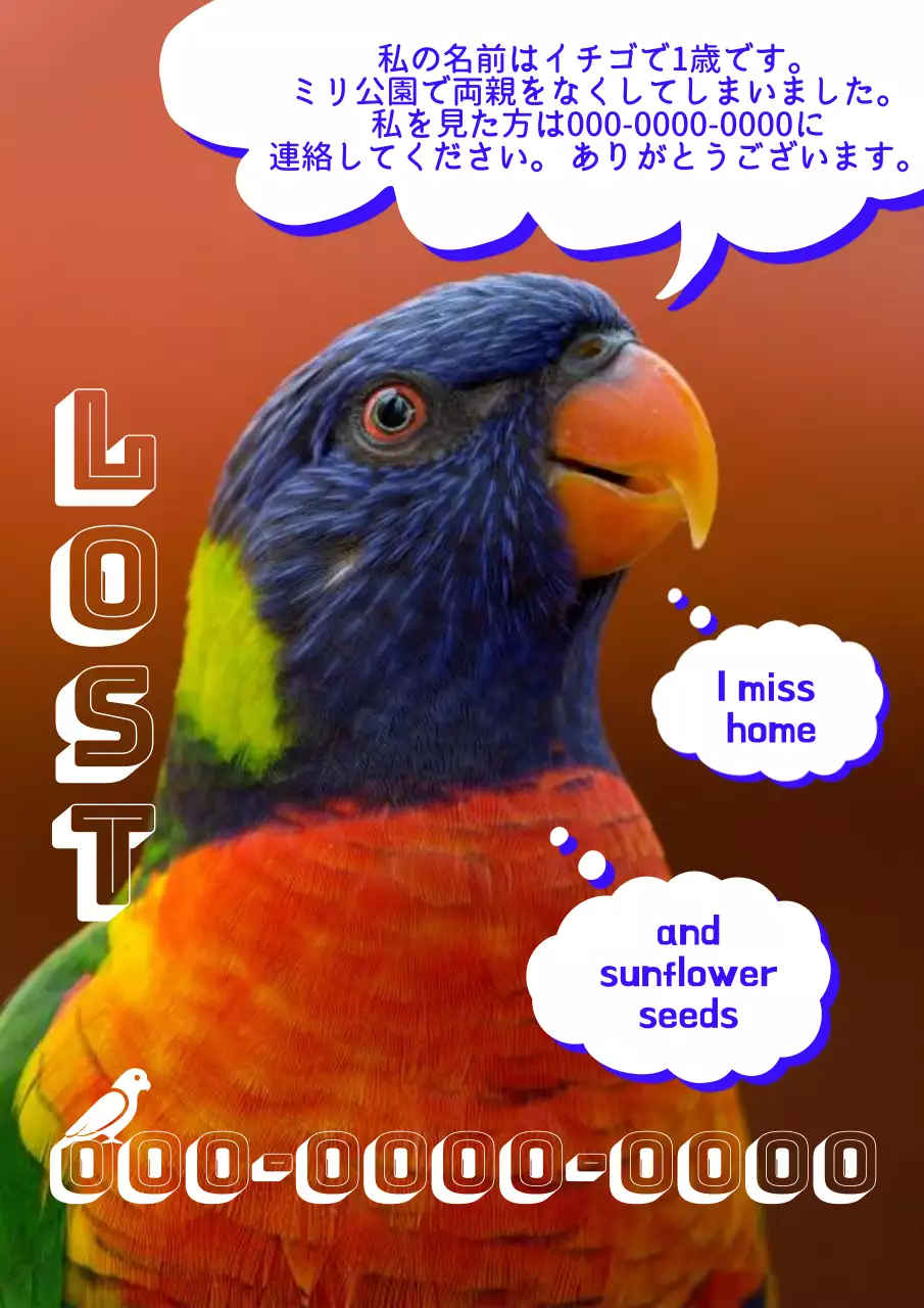 オレンジ かわいい ペット お知らせ ポスター