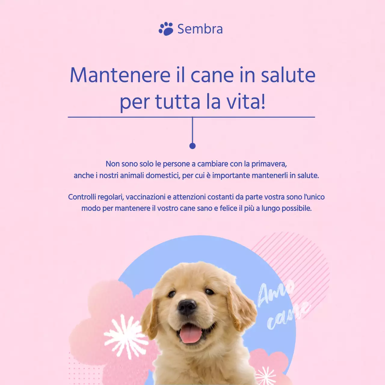 Guida alla cura del vostro cucciolo rosa e azzurro