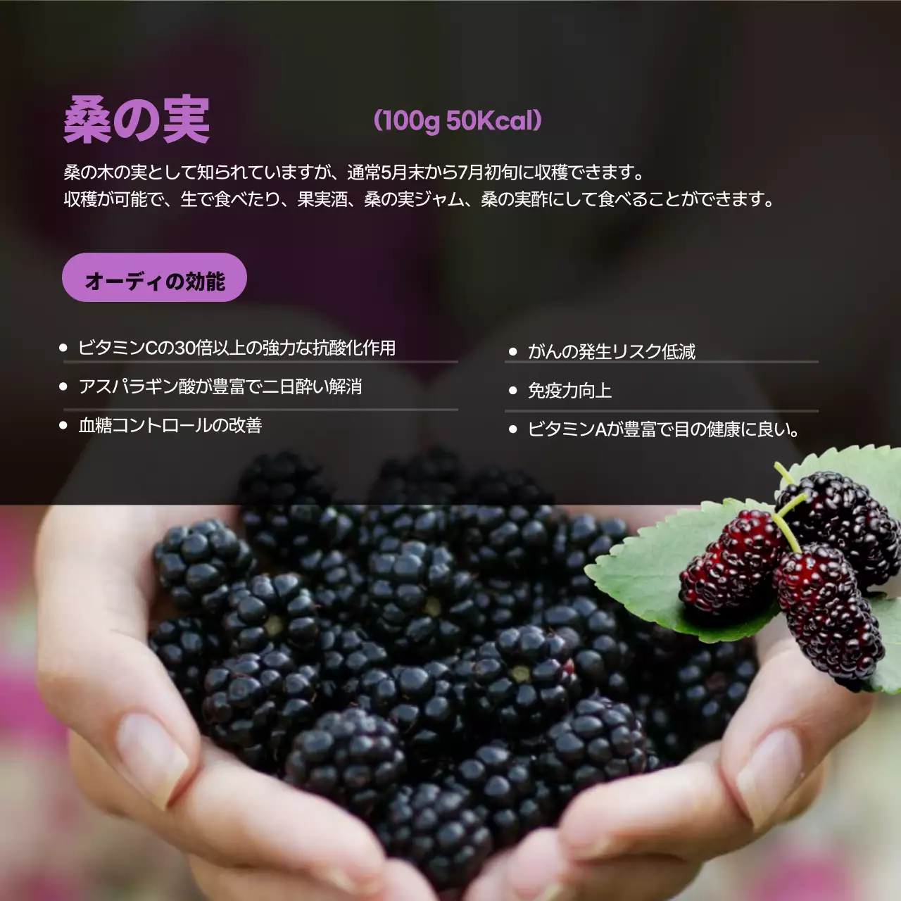 カラフル オシャレ 食材 ポスター Instagram カルーセル