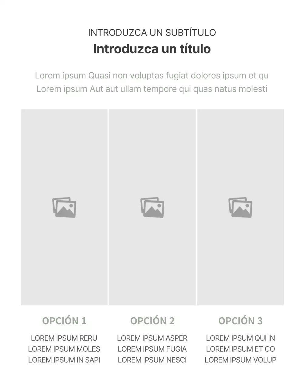 Ideas_Cosméticos Fragancias