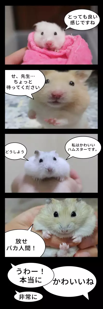 カラフル 漫画 ハムスター ポスター ウェブバナー
