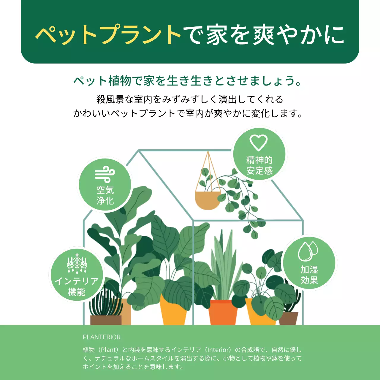 緑 シンプル ガーデニング ドキュメント Instagram カルーセル