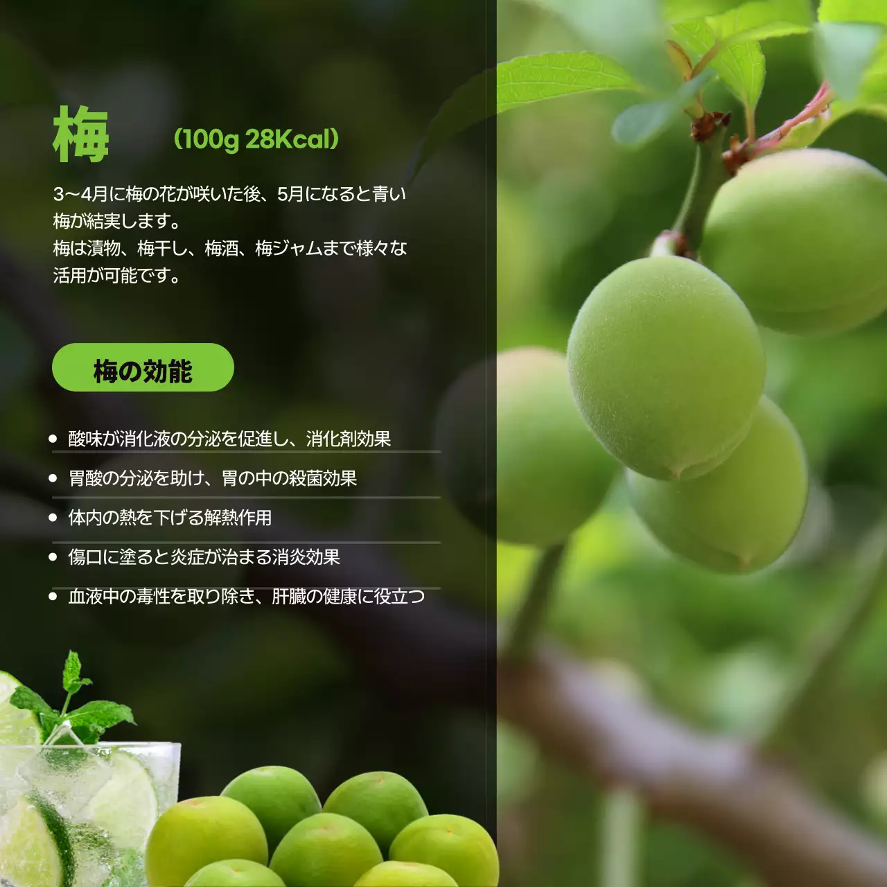 カラフル オシャレ 食材 ポスター Instagram カルーセル