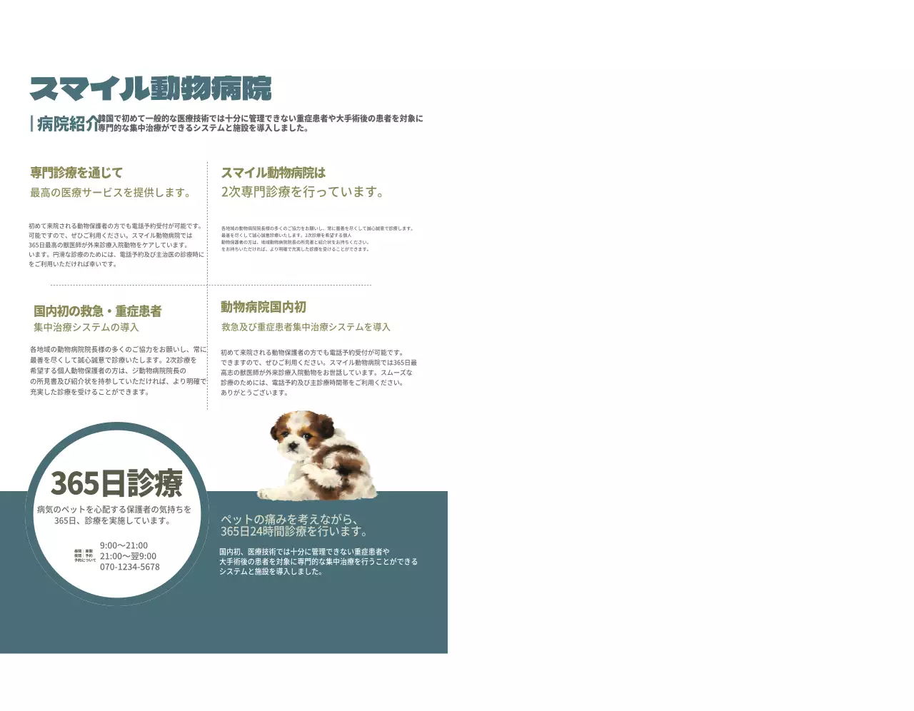 ターコイズブルーの動物病院診療時間割コンセプト