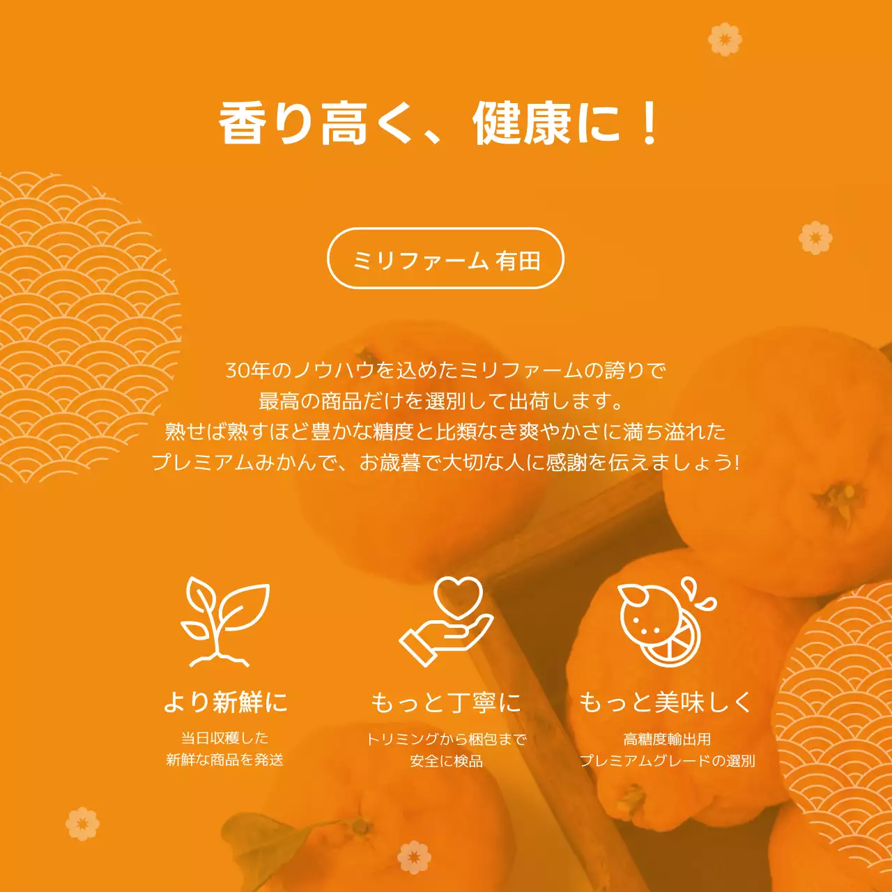 オレンジ 明るい みかん お知らせ Instagram カルーセル