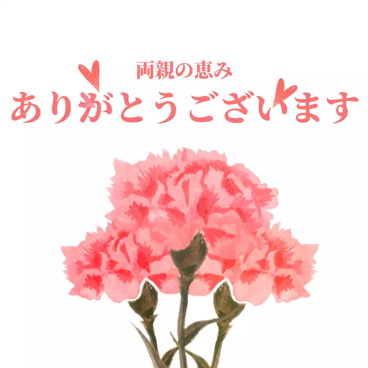 ピンクのカーネーションと母の日の感謝の気持ちを込めて